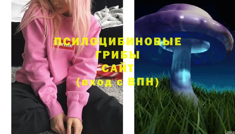 Псилоцибиновые грибы Magic Shrooms  Энем 